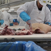 Québec : La pénurie de vétérinaires ralentit les activités d'un abattoir